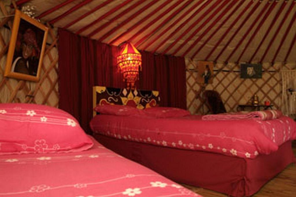 Yourte-Kota-Etretat Hotell Les Loges  Rum bild